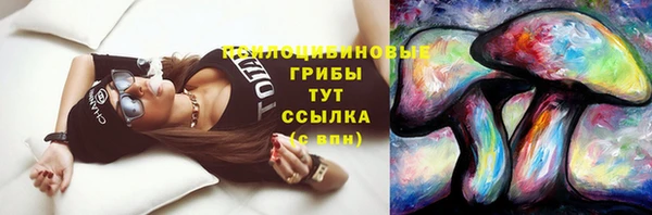 ECSTASY Алзамай