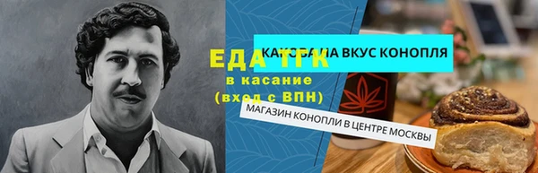 ECSTASY Алзамай