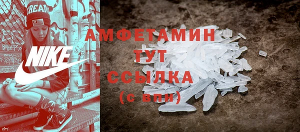 ECSTASY Алзамай