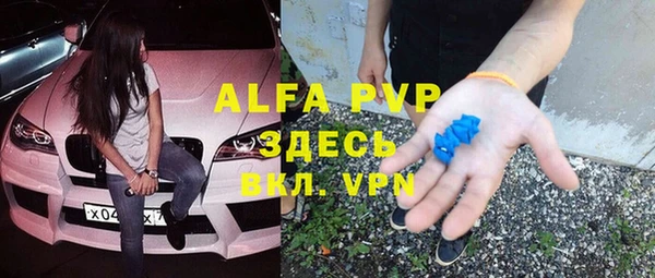 ECSTASY Алзамай