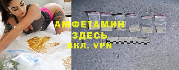 ECSTASY Алзамай