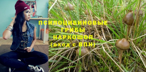 герыч Алексеевка