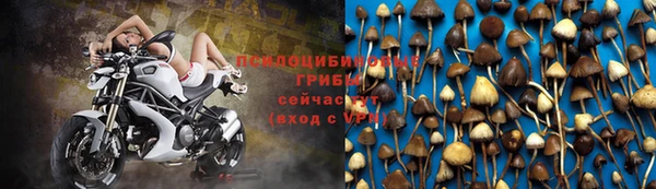 амфетамин Алексин