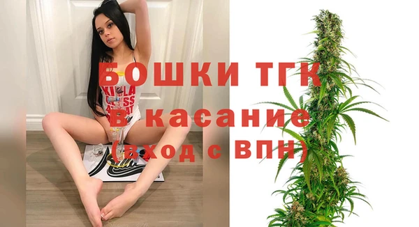 ECSTASY Алзамай